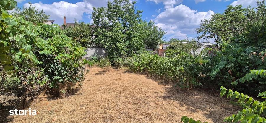 Casa in zona Tabacovici, Aradul Nou