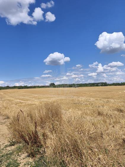 Teren Construcții intravilan de 7100 mp, în Păulești