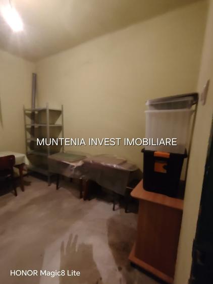 Proprietate specială, de 10.619999885559 mp, în Teilor