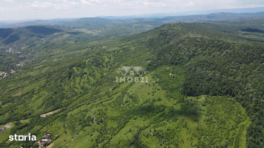Teren de 18900 mp, în Șoimari