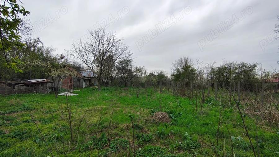 Teren Boldu, jud Buzau, pentru casa cu vie ?i pomi fructiferi - 2