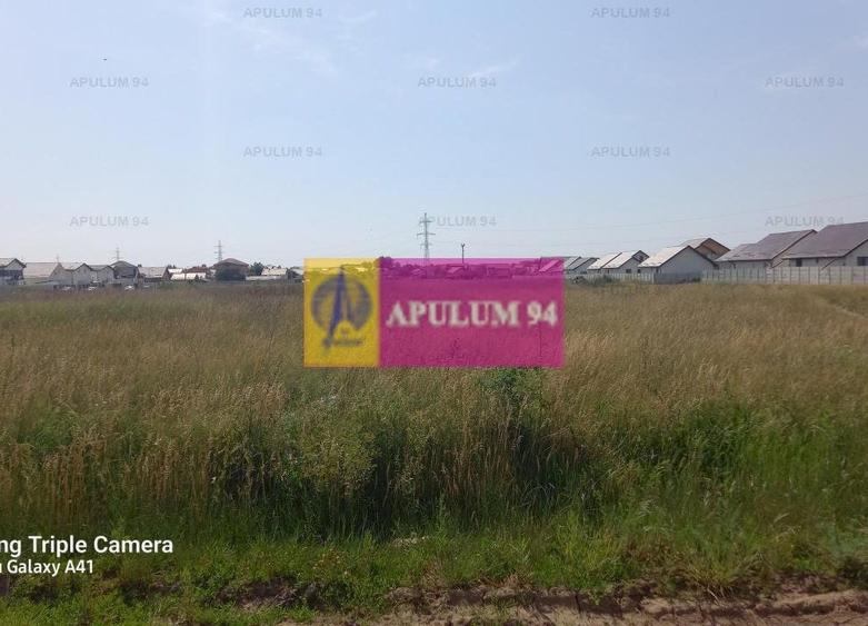 Teren Construcții intravilan de 9000 mp, în Dobroești
