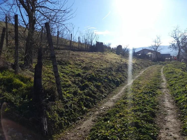 Teren de 600 mp, în Niculițel