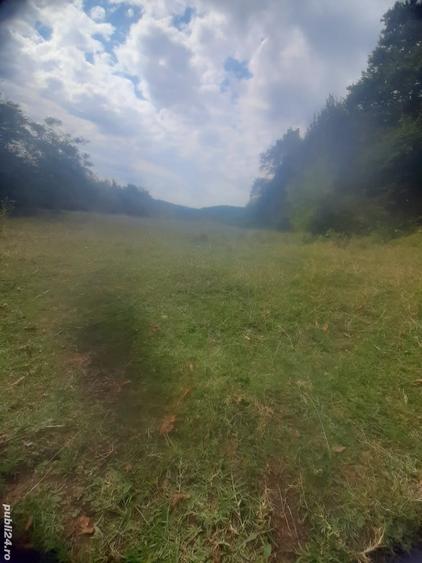 Teren de 12330 mp, în Baia de Fier
