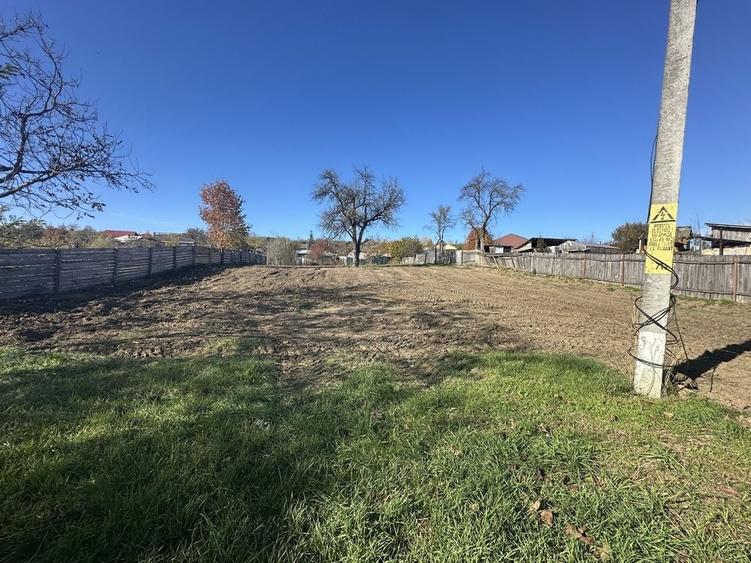 Teren de 1560 mp, în Ciurea