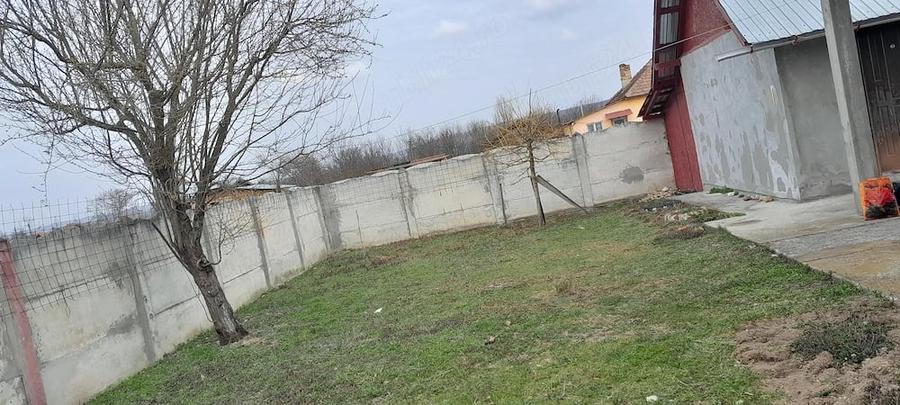 Casă cu Teren 11000 Mp în Pluta