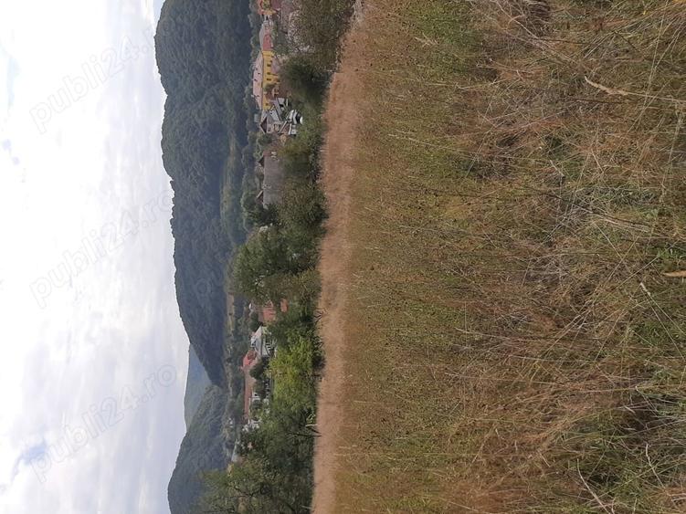Teren de 4700 mp, în Central