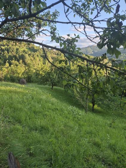 Teren de 2700 mp, în Valea Doftanei