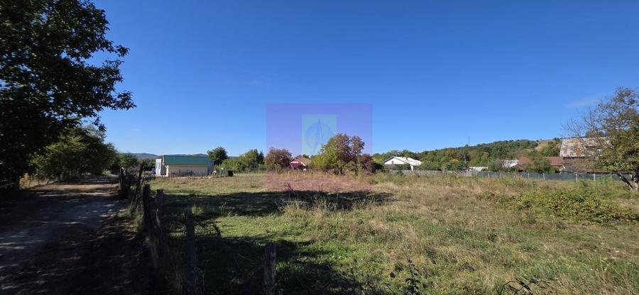 Teren Construcții intravilan de 3750 mp, în Voila