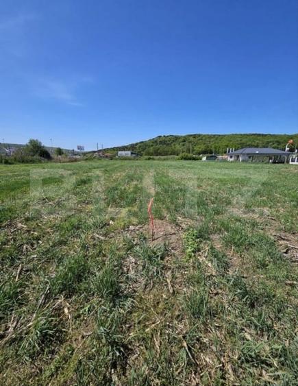 Teren Construcții intravilan de 2000 mp, în Jucu de Mijloc