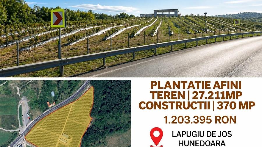 Spațiu industrial, de 370 mp, în Lăpugiu de Jos