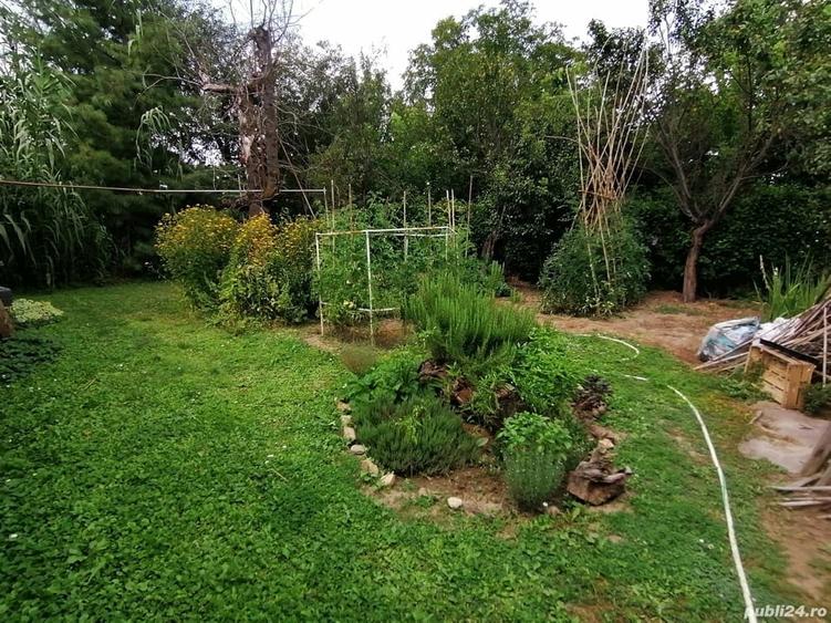 Casă cu 2 camere în Central
