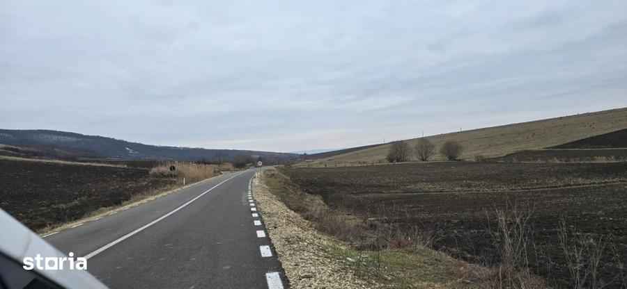 Teren de 3700 mp, în Zăpodeni