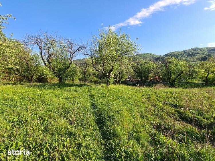 Teren de 950 mp, în Păușești