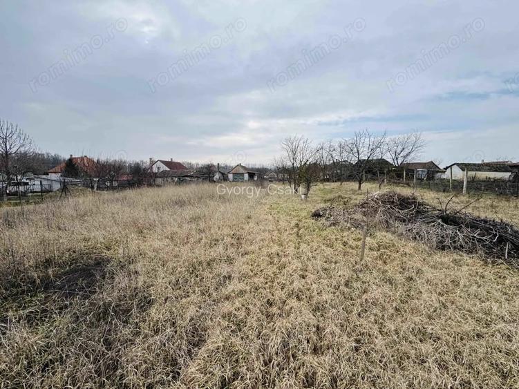 Casa ?araneasca la 10 km de Oradea - Teren 2000mp - IMOBIHOR - 33 500