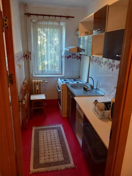 campus, 2 camere 350 euro luna - 2