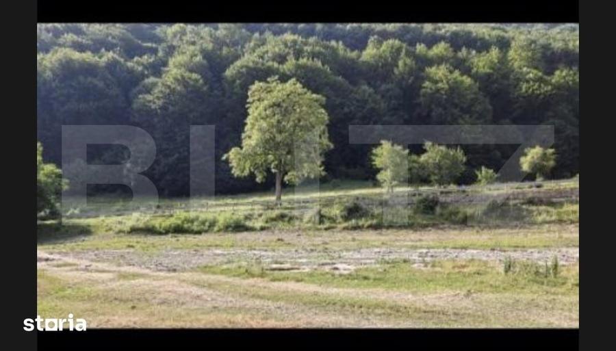 Oportunitate rara in Moroeni 20.000 mp intravilan, parcelat, deschide - 4