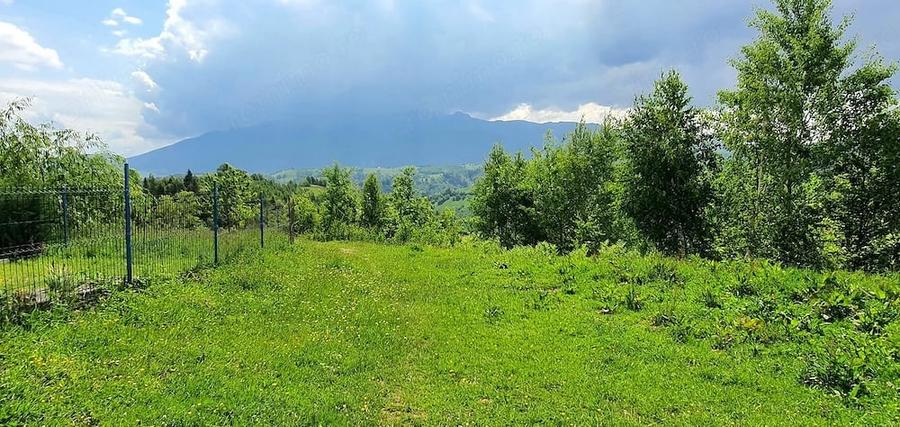 Teren de 2500 mp, în Peștera
