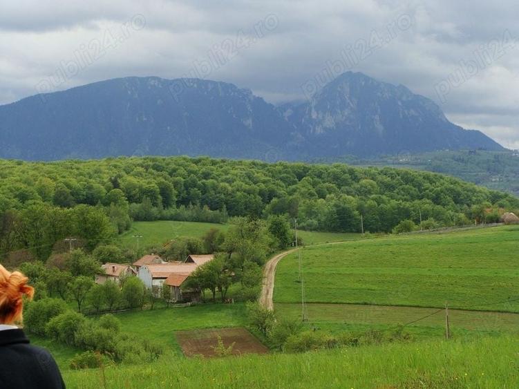 Teren de 11600 mp, în Poiana Mărului