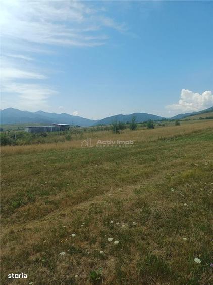 Spațiu comercial, în Central