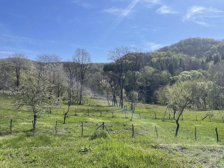 Teren de 3730 mp, în Vâlsănești