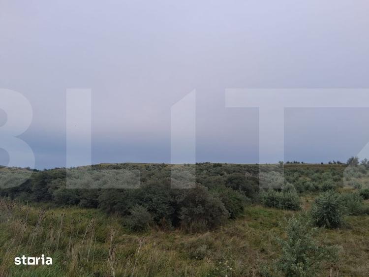 Teren de 17300 mp, în Unțeni