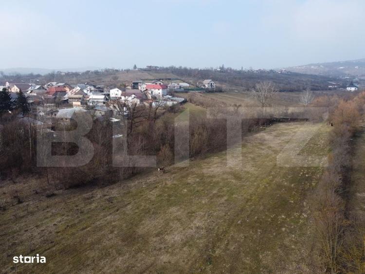 Spațiu comercial, în Ocnița
