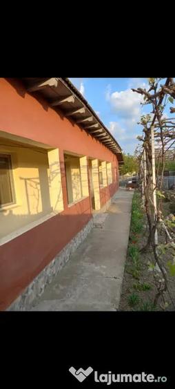 Casă cu 3 camere în Central