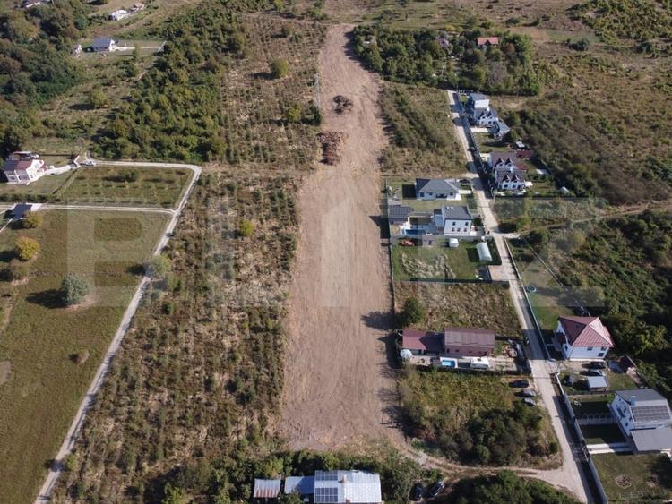 Teren Construcții intravilan de 11477 mp, în Viforâta