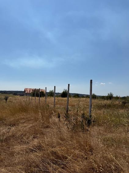 Teren Construcții extravilan de 800 mp, în Șimian