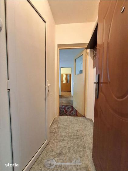 Apartament cu 2 camere, mobilat în Podu Roș