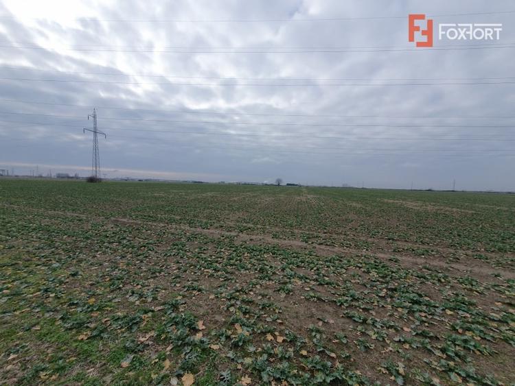 Teren Construcții extravilan de 9845 mp, în Șagului