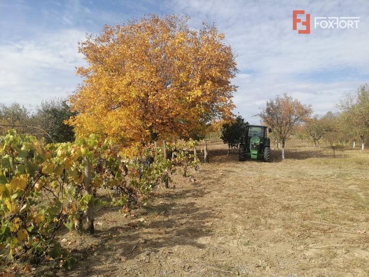Casă individuală cu 7 camere cu Teren 4316 Mp în Bogda