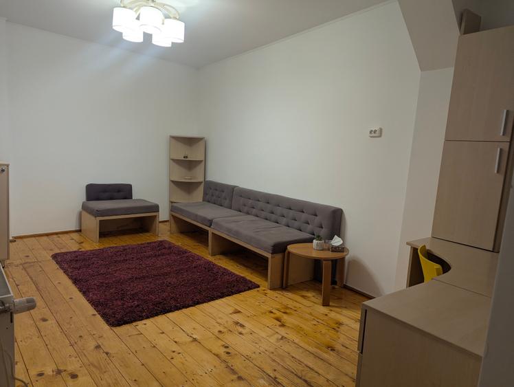 Casa Domenii Herăstrău, 4 camere, 2 băi, curte proprie. - 26