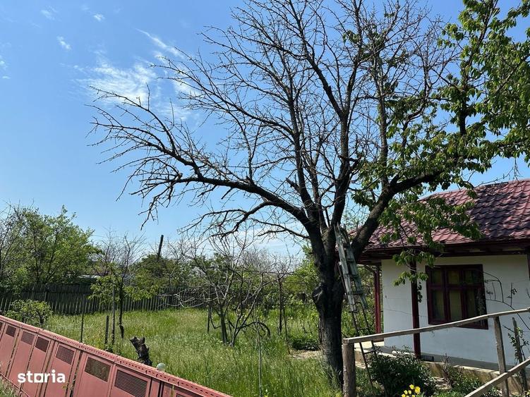 Casă cu 4 camere cu Teren 1422 Mp în Alexeni