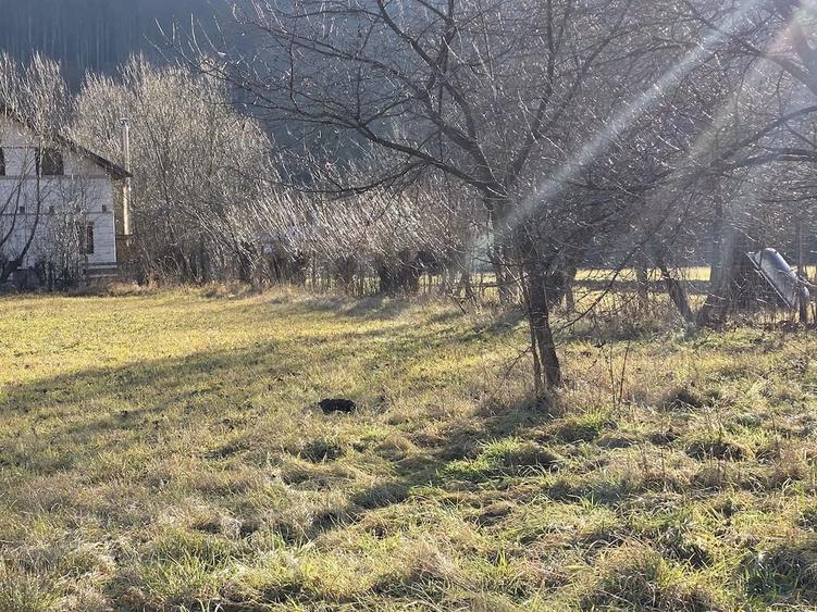 Teren de 700 mp, în Câmpu Cetății