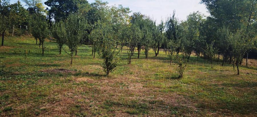 Teren Construcții intravilan de 1400 mp, în Est