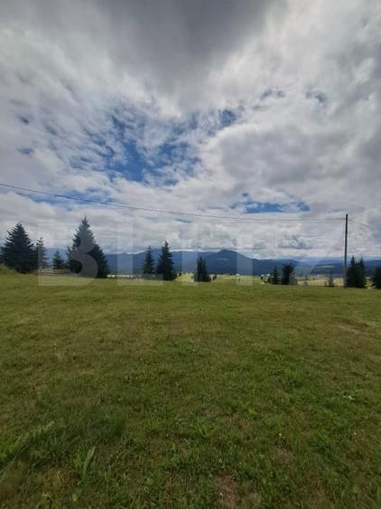 Teren Construcții intravilan de 3936 mp, în Piatra Fântânele