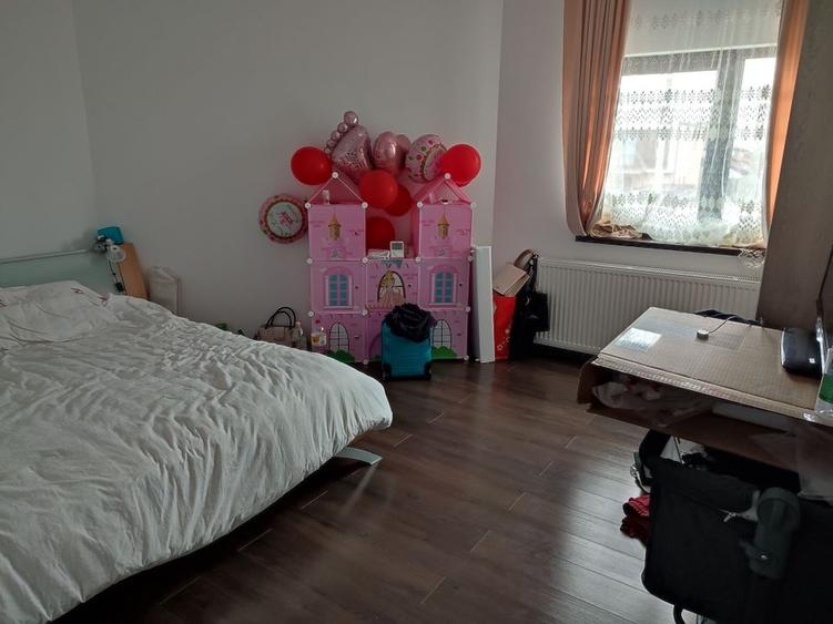 Sanandrei, Spurafete generoase, drum asflatat - 13