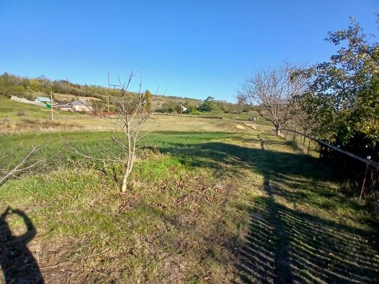 Vand casa batranesca - 4