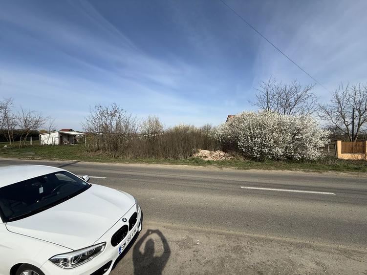 Vand Teren intravilan pt parcelare 86 Ari la intrare in Vetis - 3