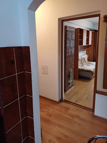 Vanzare apartament 2 camere ,Chisineu-Cris Arad,centru - 8