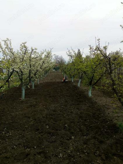 Casa batraneasca de vanzare - 5