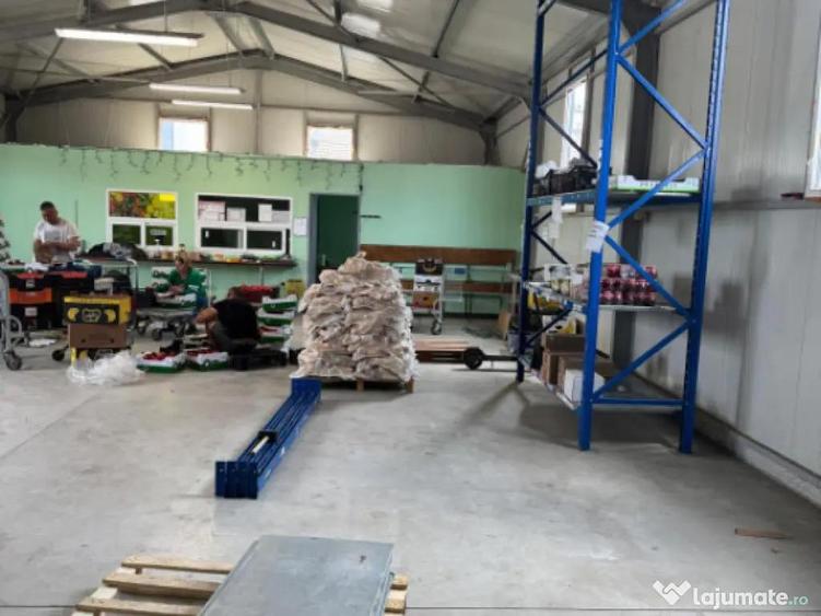 Spatiu comercial 280 mp + 700 mp curte, Filiasi - 6