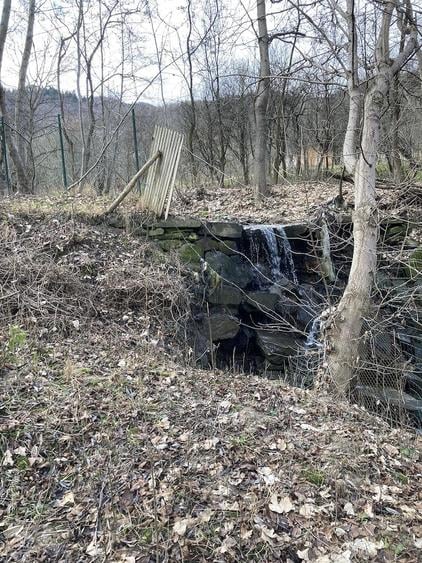 Casa cu padure, rau si cascada Fantanele - 5