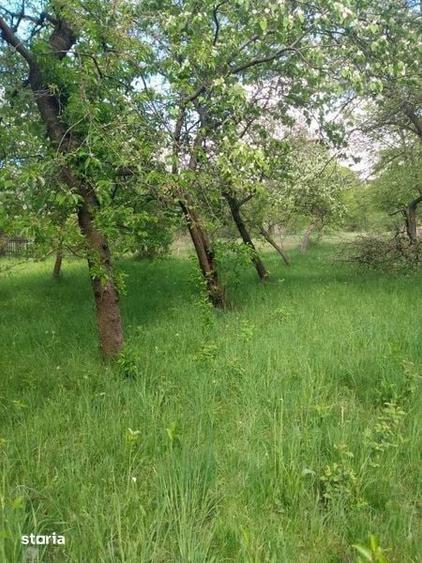 case de vanzare arges - 2