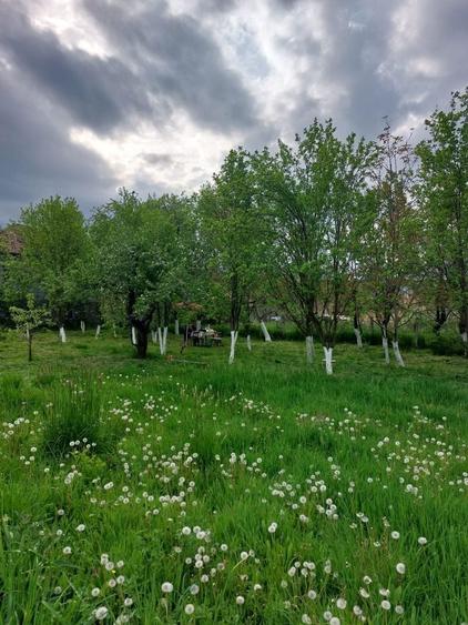 Vand casa cu gradina - 5