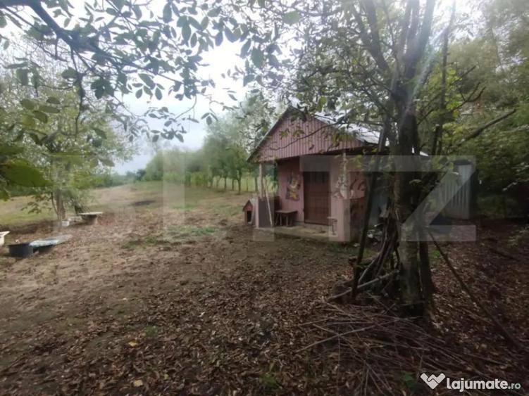 Cabana + teren intravilan, 50 ari, oras Beclean - 1