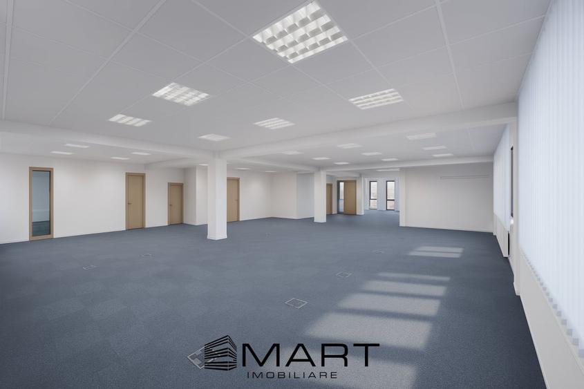 Spatiu comercial Calea Dumbravii - 1