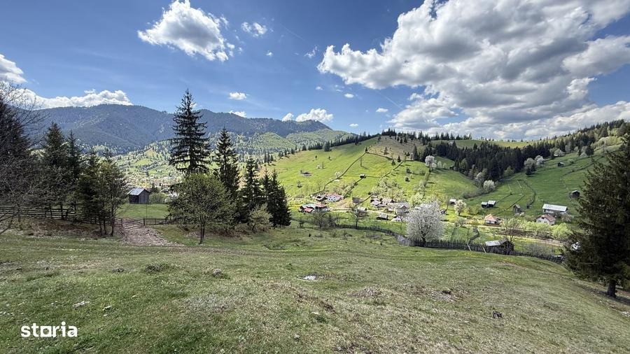 Teren 1.29 ha + 1 ha padure, acces usor - 1
